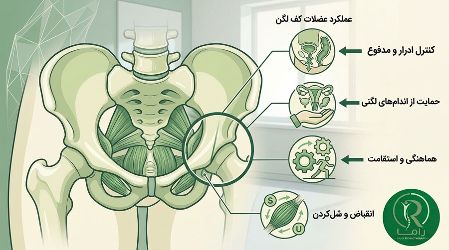 عملکردهای مگنت های-تسلا در فیزیوتراپی کف لگن